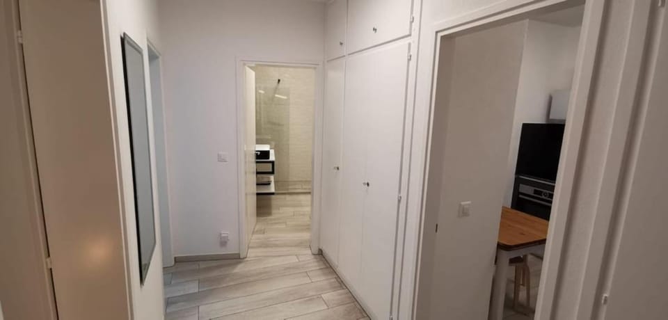 Lake Maggiore Waterfront Retreat - Walking distance to Everything Apartment in Locarno