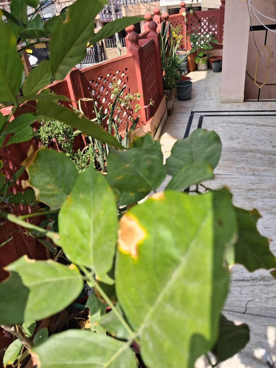 Aravalli View Homestay Vacation rental in Jaipur