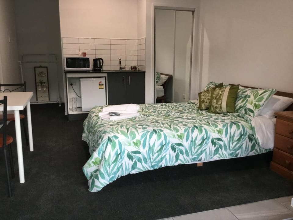 Bed, Kitchen or kitchenette, Photo of the whole room, Bedroom, microwave, minibar
