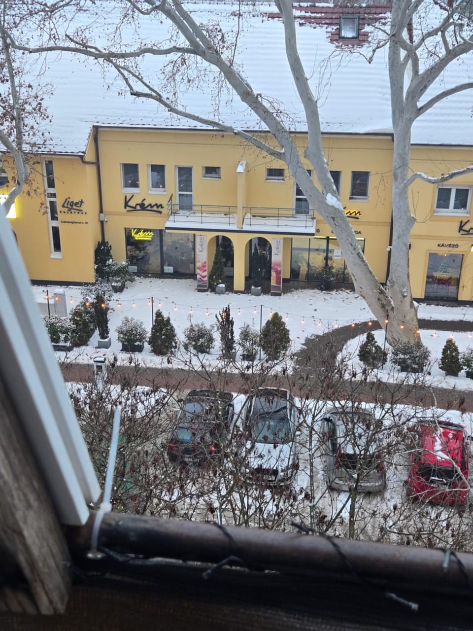 Winter