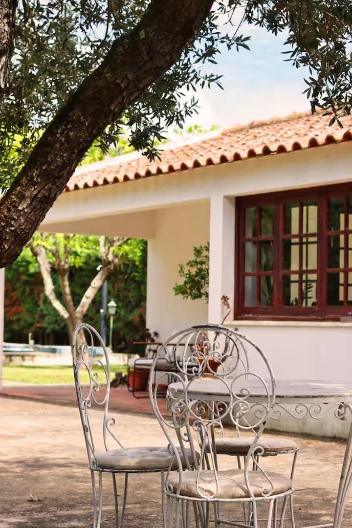 Patio, Balcony/Terrace