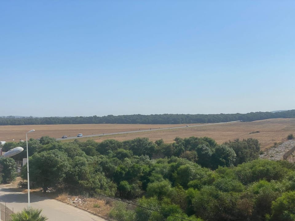 Natural landscape