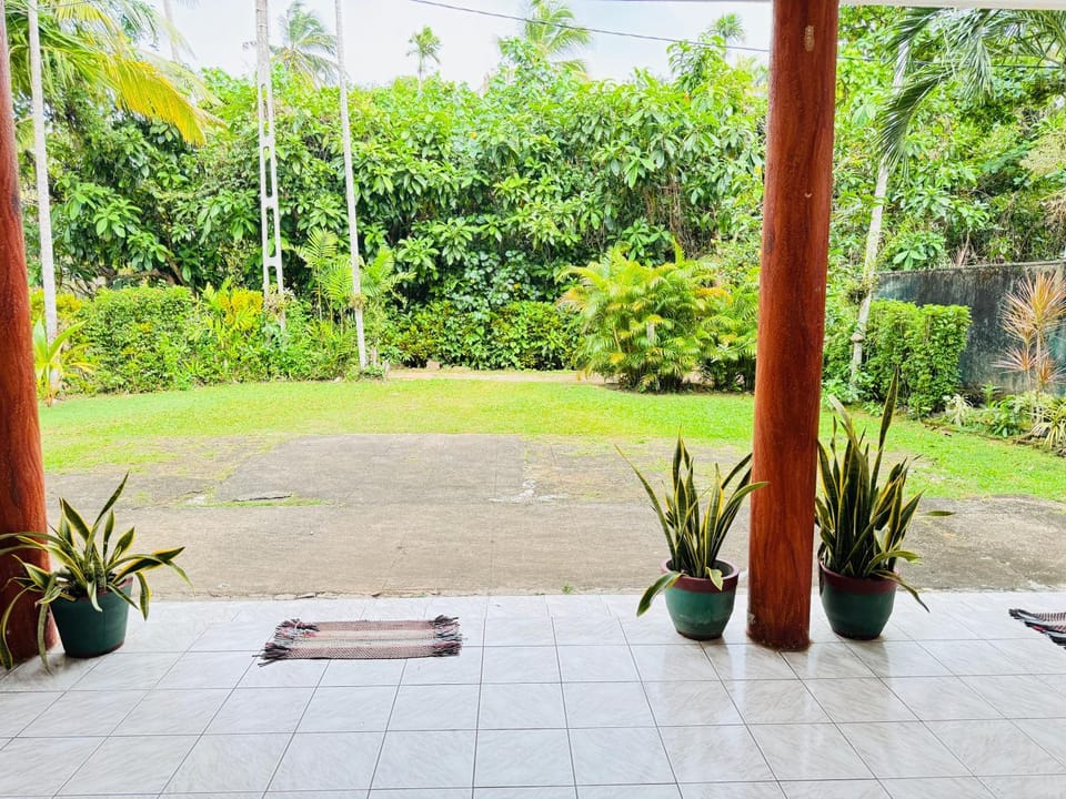 Garden, Garden, Garden view