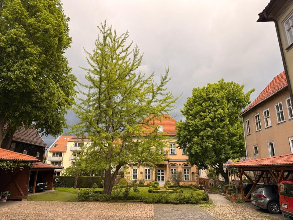 Inner courtyard view