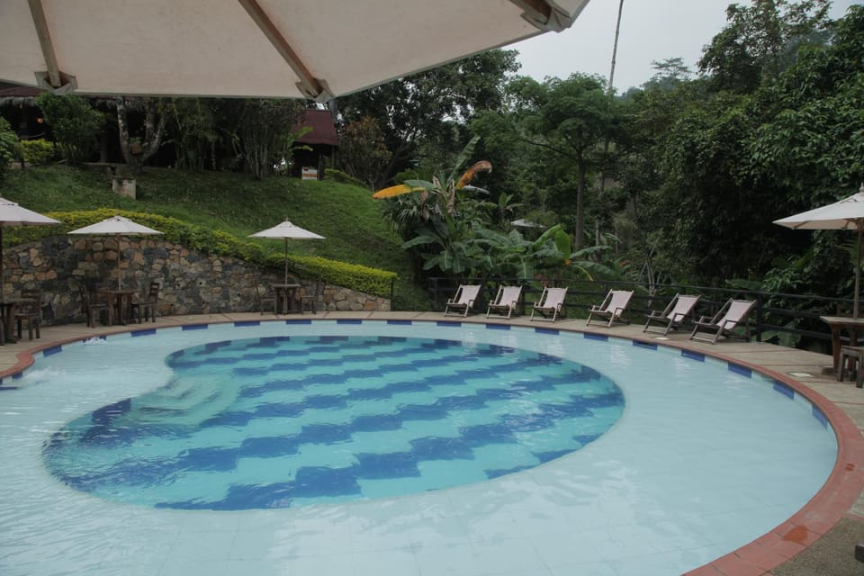 Pool view, Swimming pool, Swimming pool