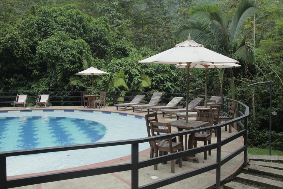 Pool view, Swimming pool, Swimming pool