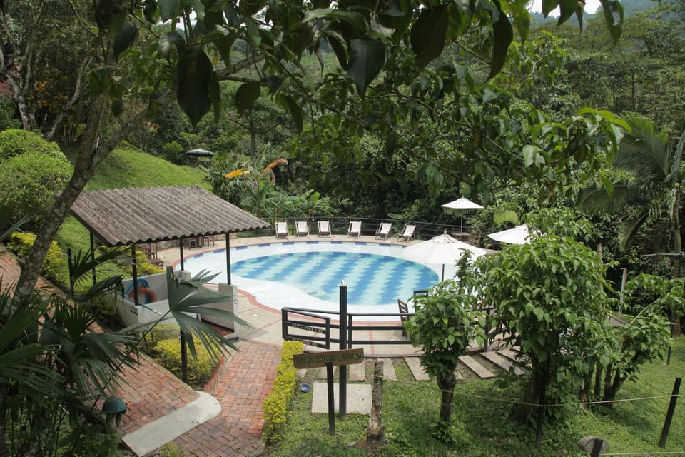 Pool view, Swimming pool, Swimming pool
