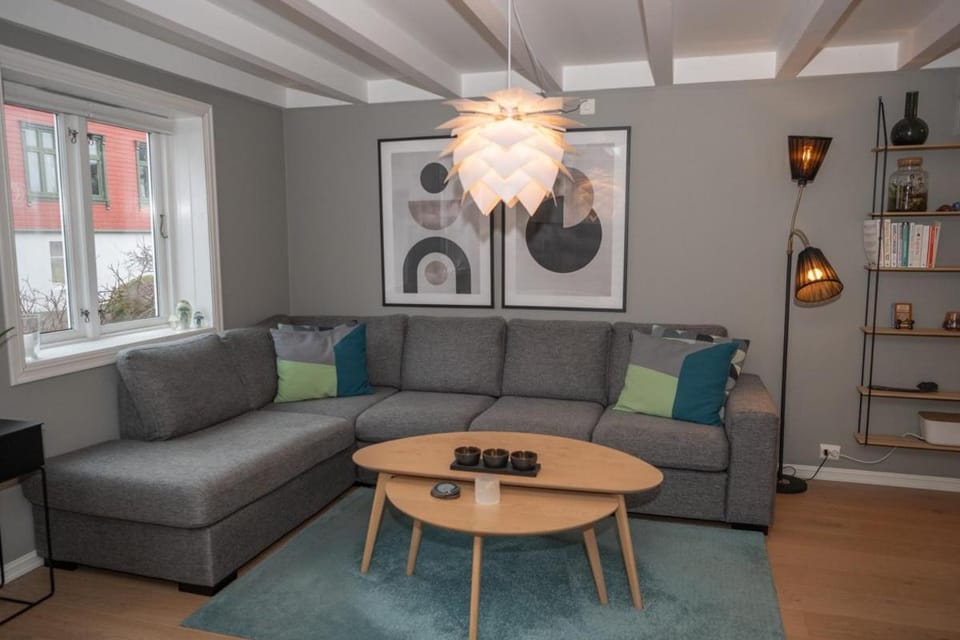 Classic Stavanger Townhouse, Garden, Spacious House in Stavanger