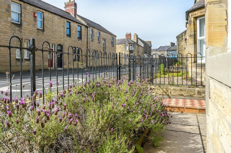 Mulberry House Family and dog friendly House in Amble
