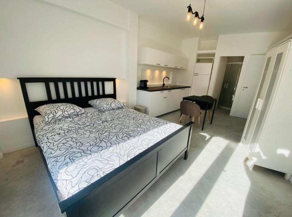 Magnifique studio avenue des diables bleus Apartment in Nice