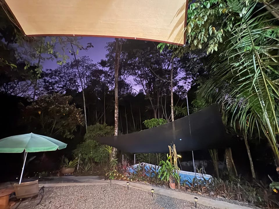 Natural landscape, Garden, Garden view, Swimming pool, Swimming pool