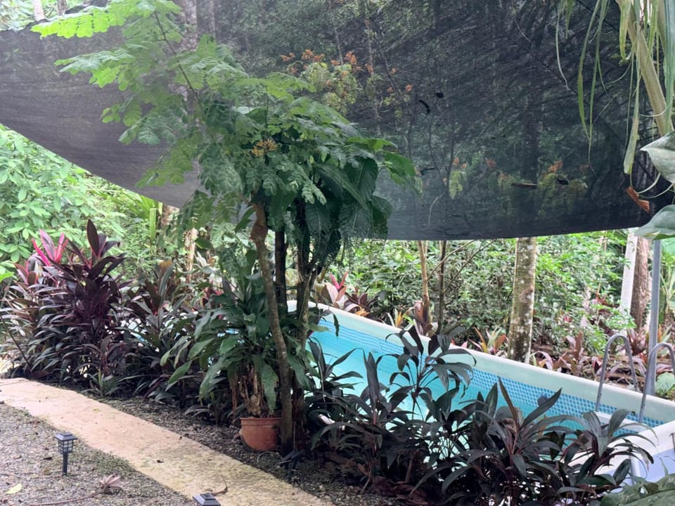 Flamingo Vacation House Apartment in Quepos