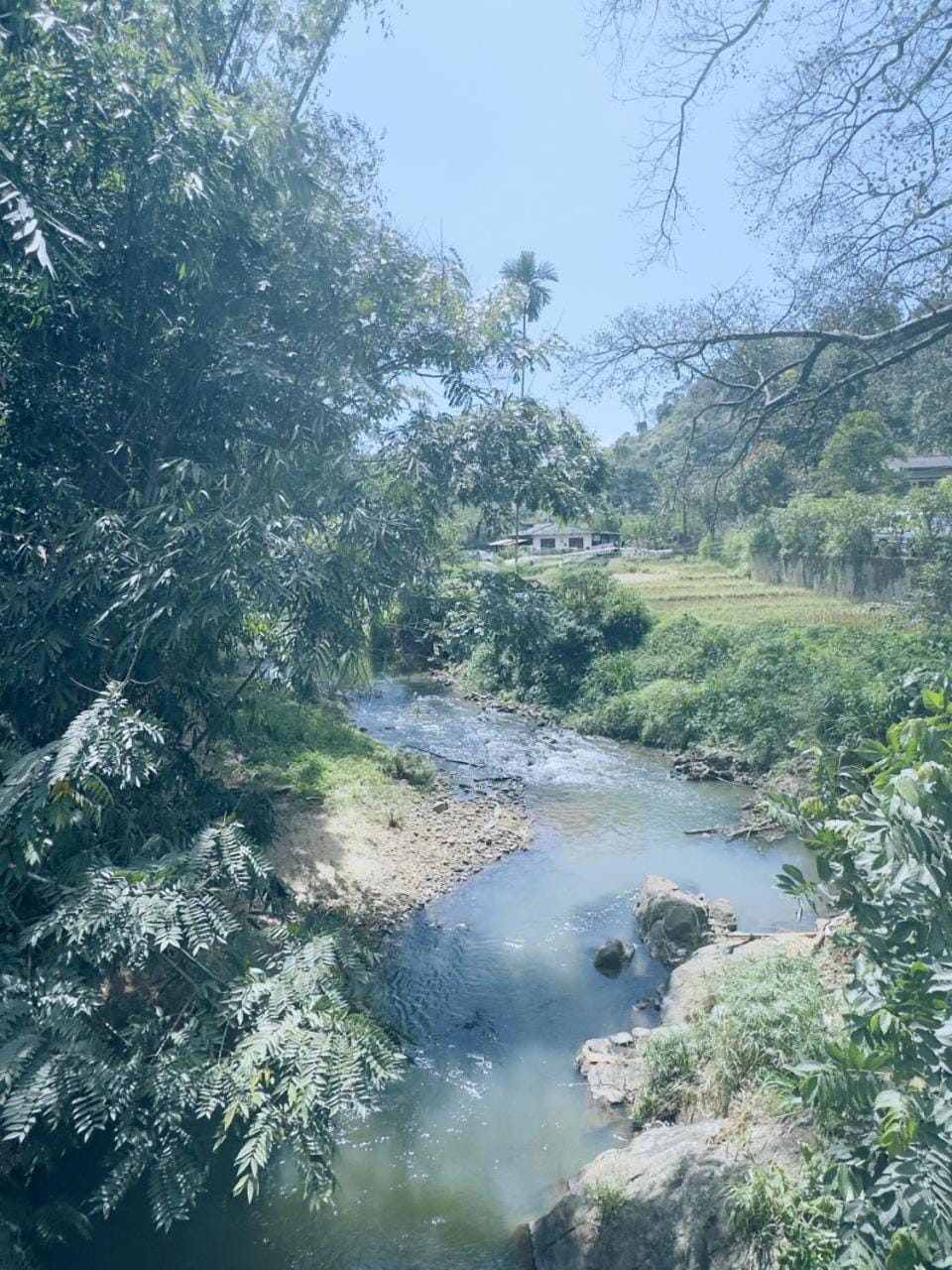 River view
