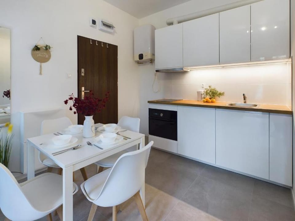 Cozy Studio with Parking - Sleeps 4 - Near Warsaw Airport Apartment in Warsaw