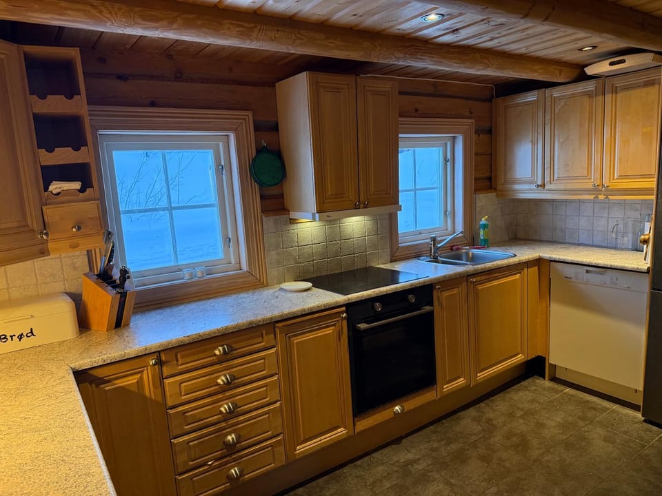 Kitchen or kitchenette, dishwasher, stove