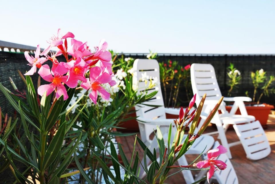 Appartamento Plumbago Blu in via P Mattarella 175B Apartment in San Vito Lo Capo
