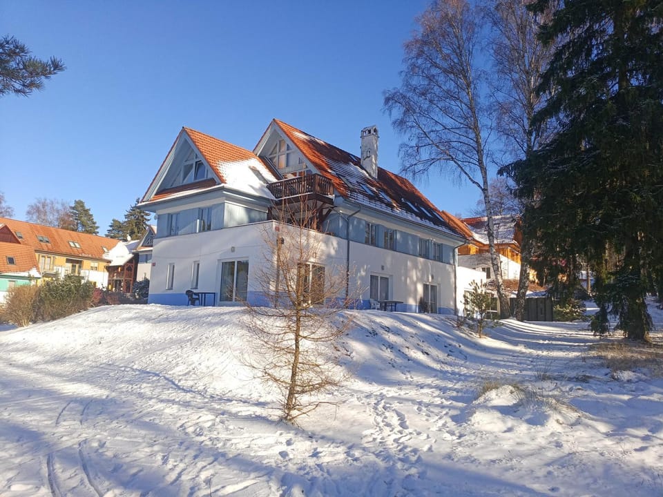 Property building, Winter