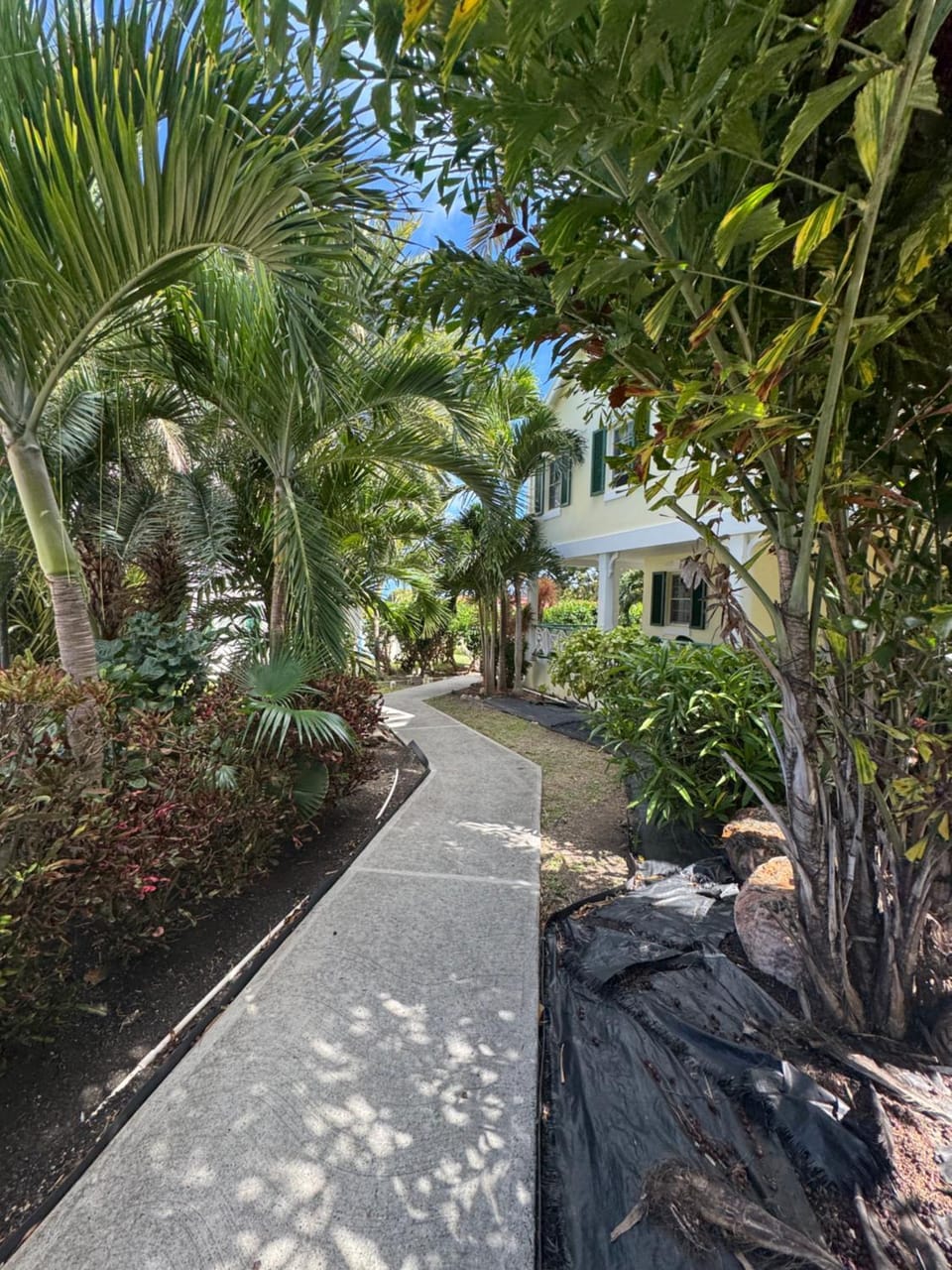 The Palms apt 12 and 11 Apartment in Antigua and Barbuda