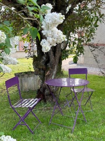 Garden, Garden, Garden view