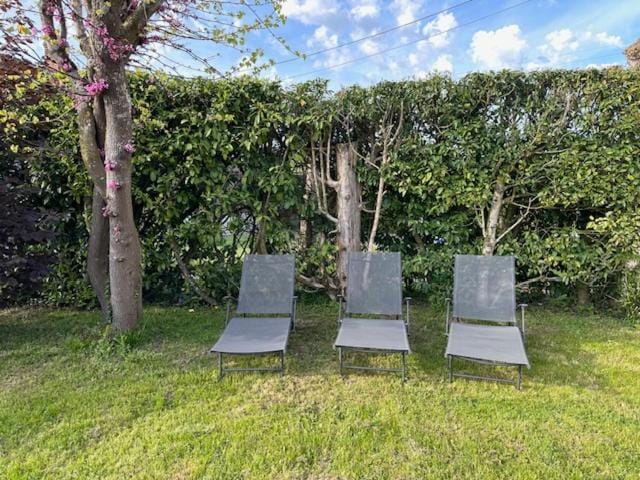 Garden, Garden, Garden view, sunbed