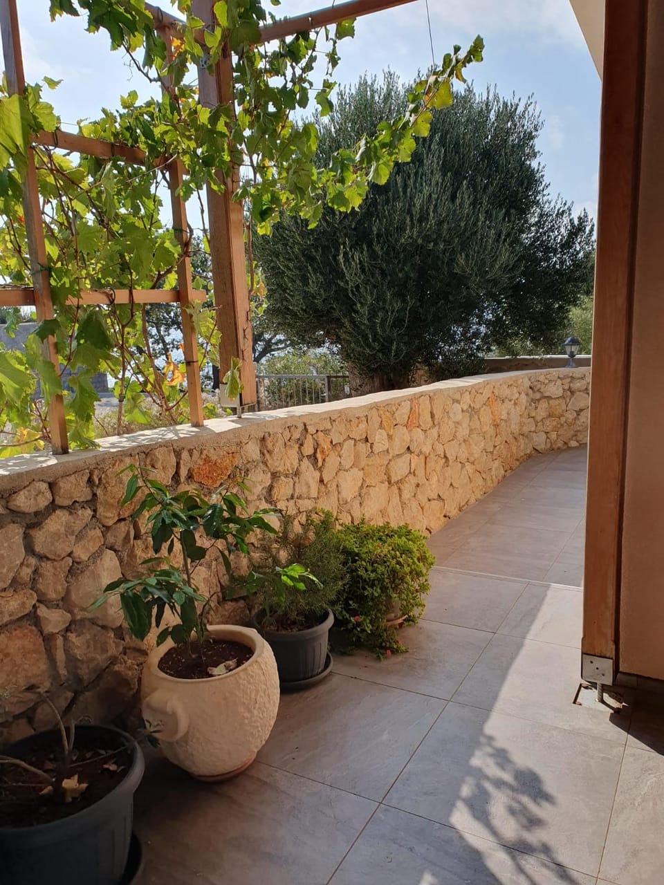 Garden, Balcony/Terrace, Garden view