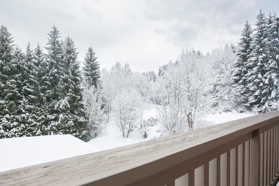 Day, Natural landscape, Winter, View (from property/room), Balcony/Terrace, Balcony/Terrace, Mountain view