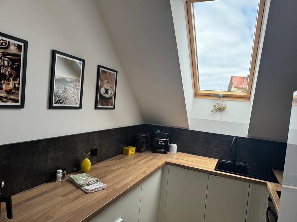 Kitchen or kitchenette, kitchen