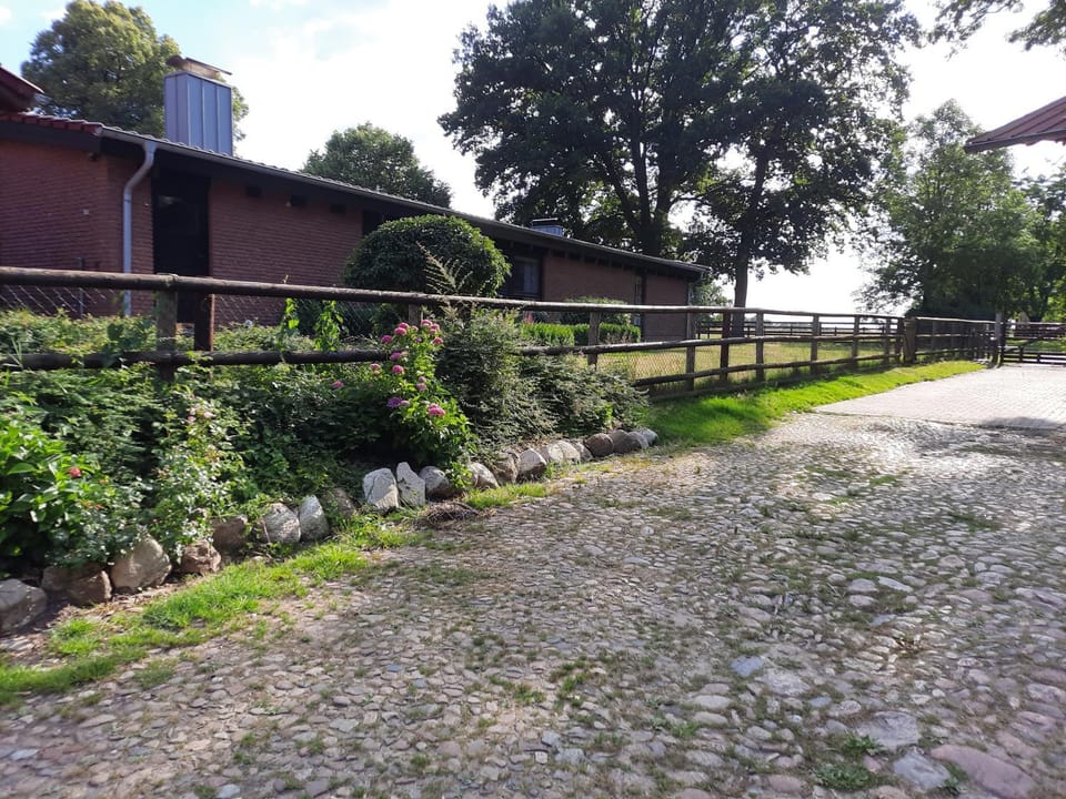 Neighbourhood, Natural landscape, Garden