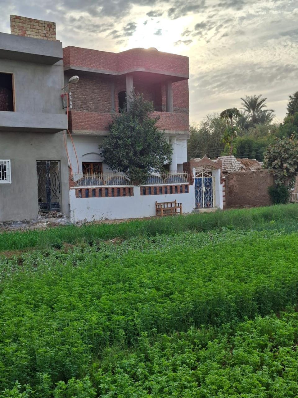 sunrise house Bed and Breakfast in Luxor Governorate