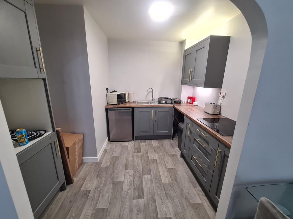 Kitchen or kitchenette, minibar, stove, toaster