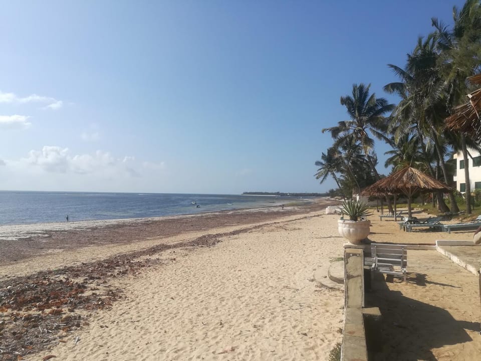 Day, Natural landscape, Beach, Sea view