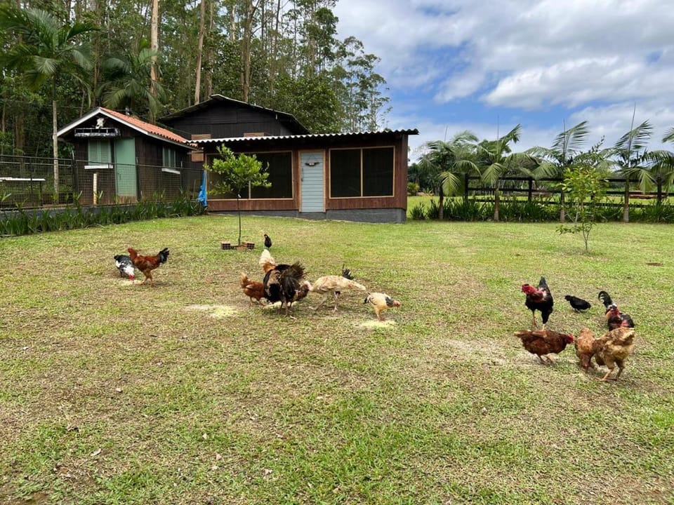 Pousada riacho da Barragem Campground/ 
RV Resort in State of Santa Catarina