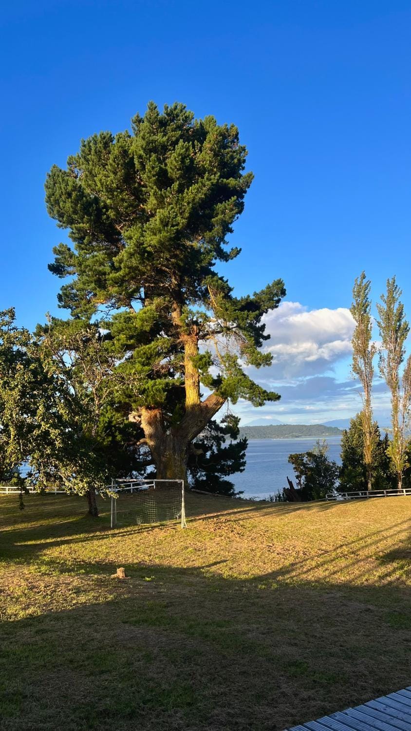 Day, Natural landscape, Garden, Sea view