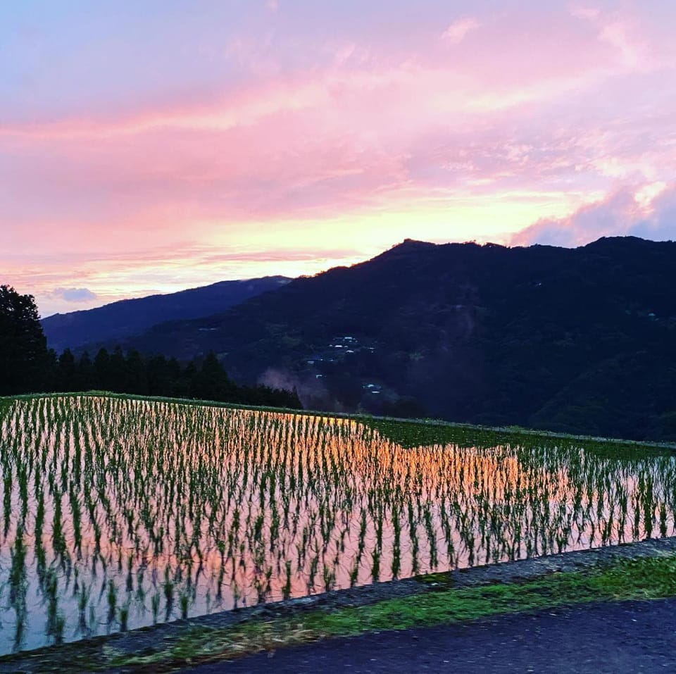 Natural landscape, Sunset