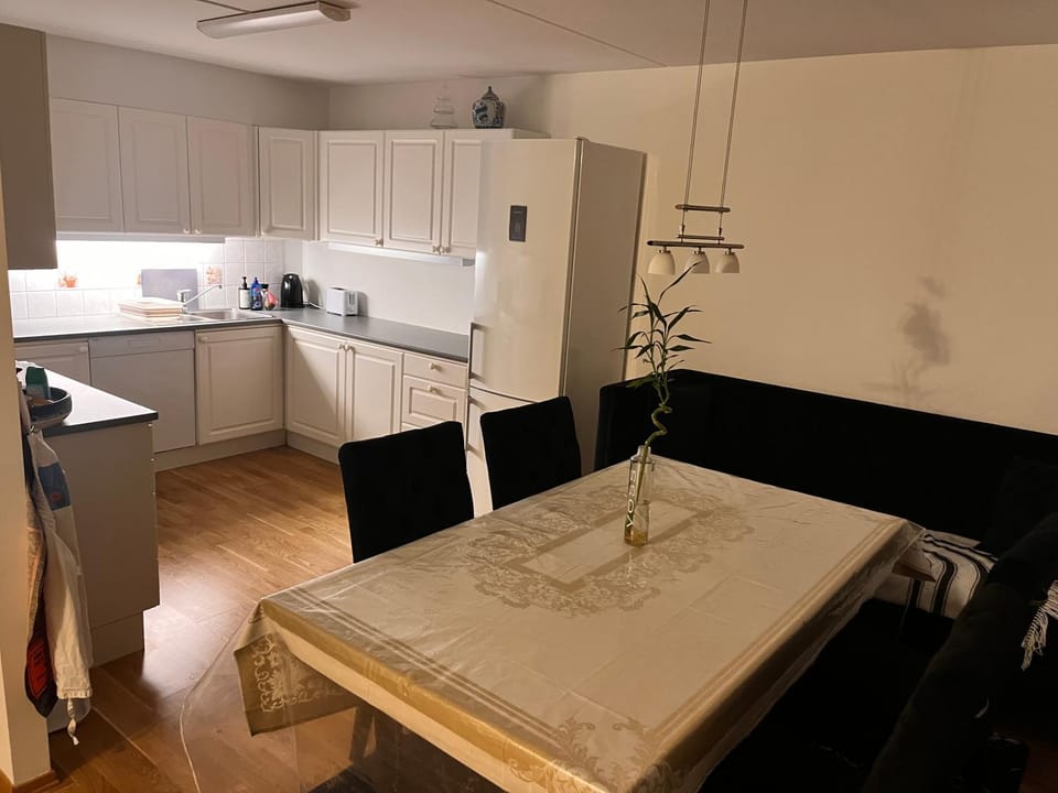 Kitchen or kitchenette, Dining area, oven, stove