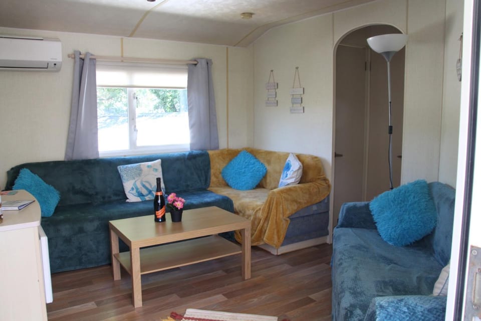 Living room, Photo of the whole room, Seating area, air conditioner