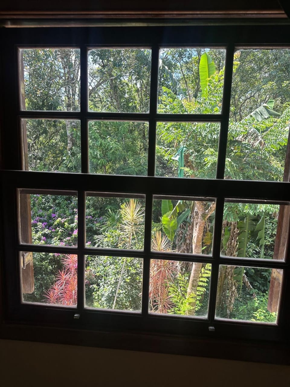 Day, Natural landscape, Garden, Garden view