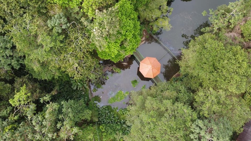 Cabin Retreat - Nature & Privacy - La Fortuna Cabin in Alajuela Province