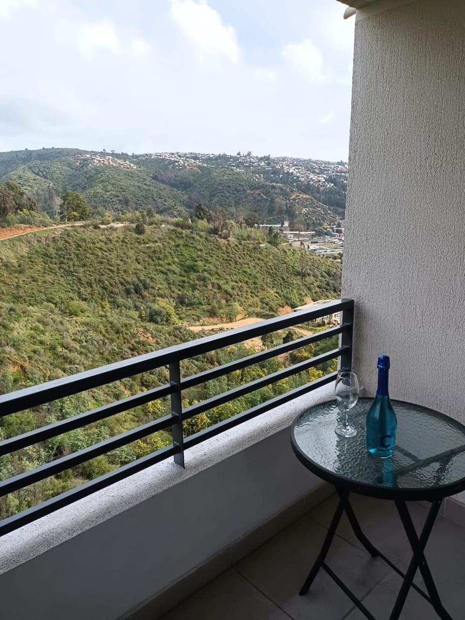 Cómodo departamento Viña del Mar Apartment in Vina del Mar
