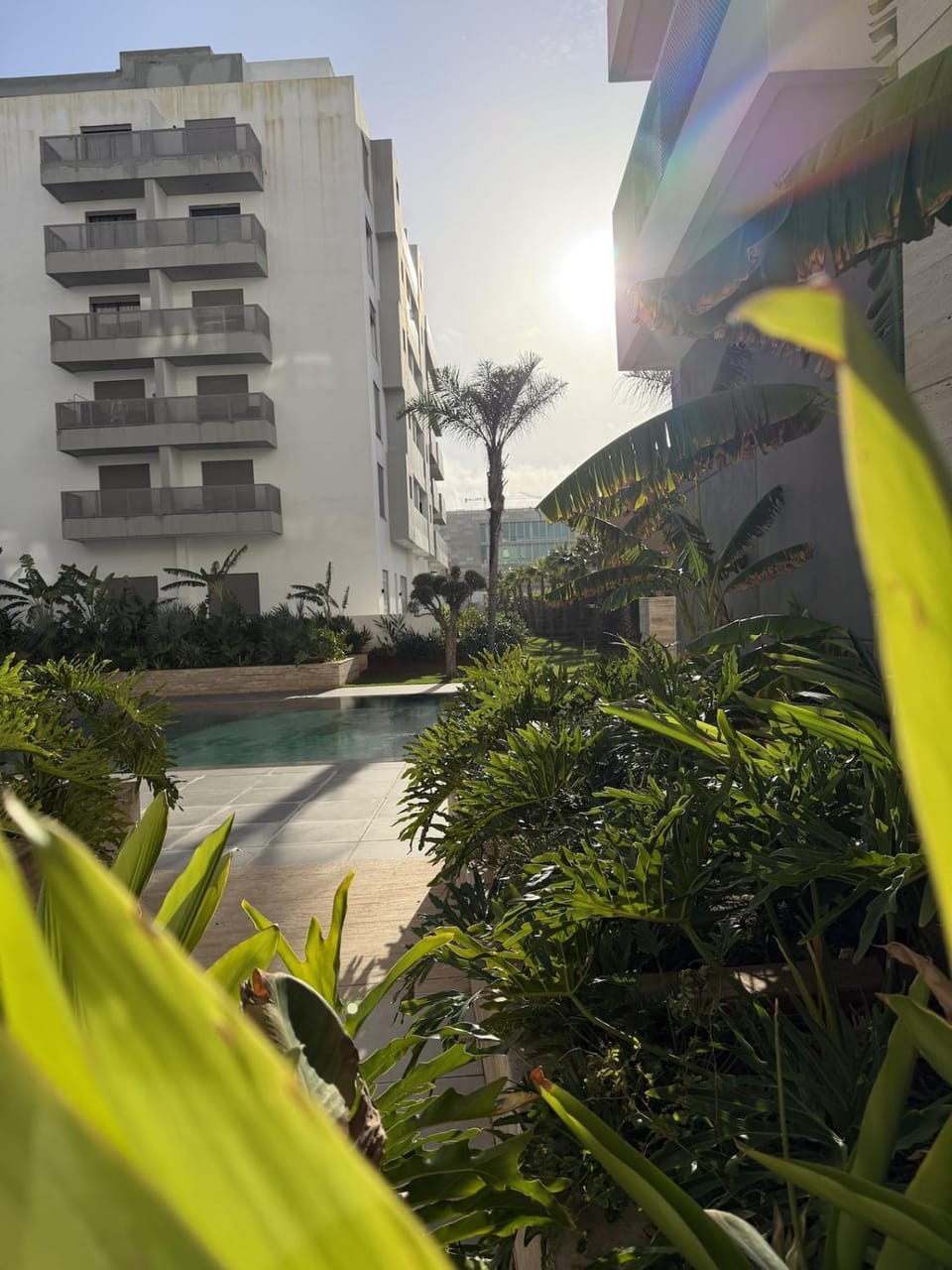 Property building, Natural landscape, Garden, Garden view, Pool view, Swimming pool