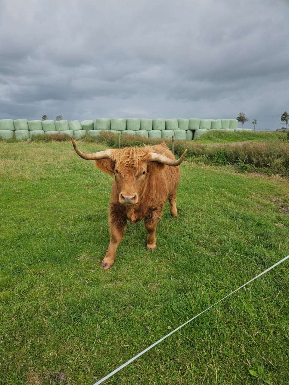 Tokatoka Views Farmstay 2 Farm Stay in Auckland Region