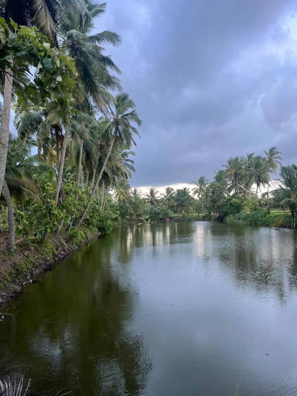 Essaar Punnot Farmstay Resort Farm Stay in Kerala
