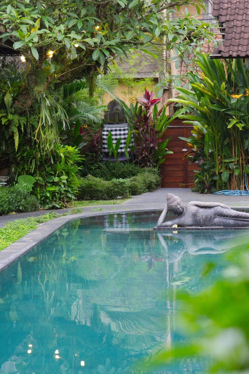 Garden, Pool view