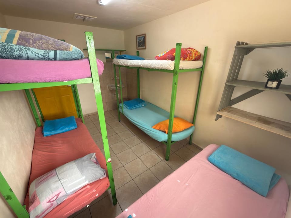 Photo of the whole room, bunk bed