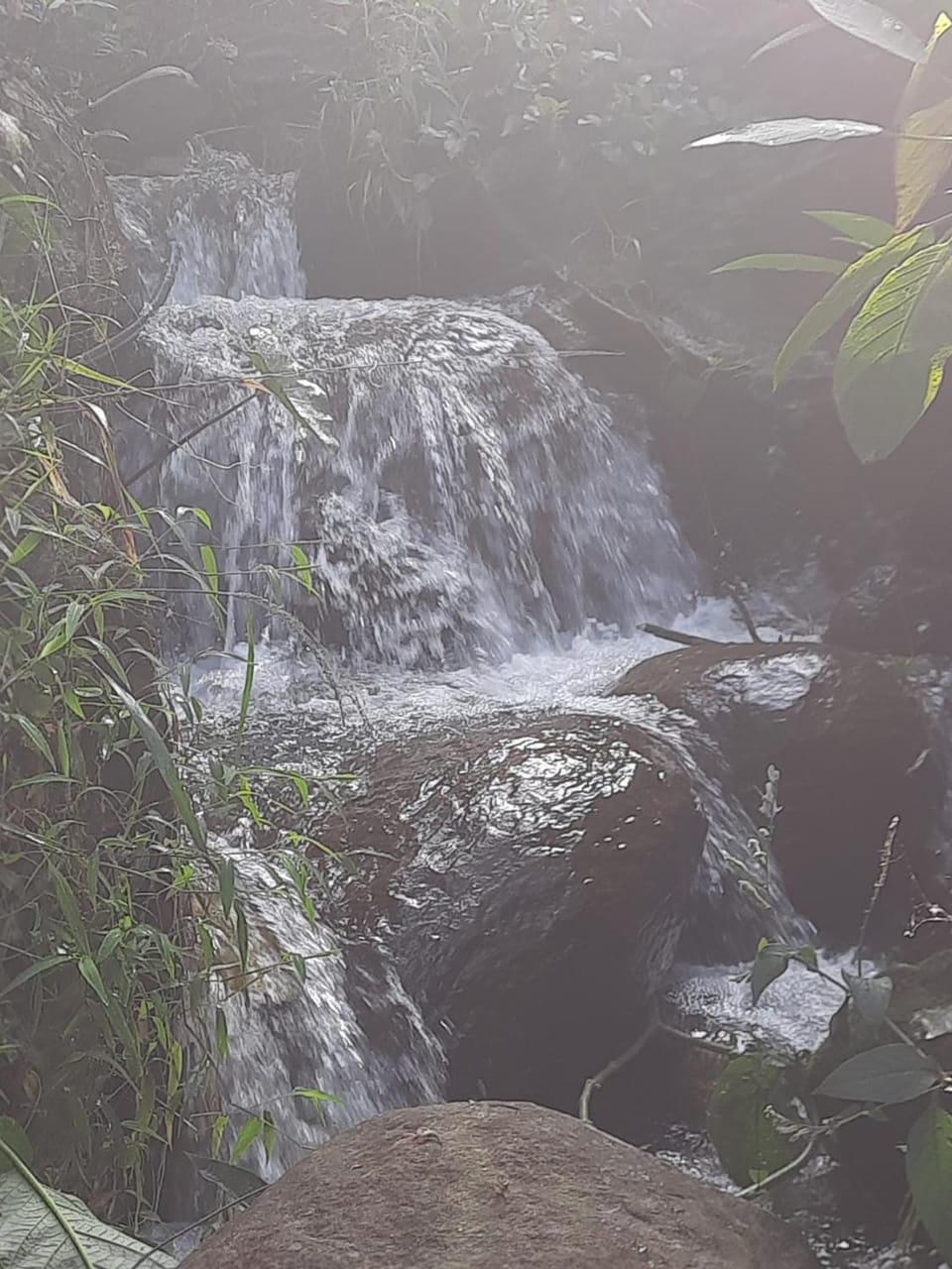 Natural landscape