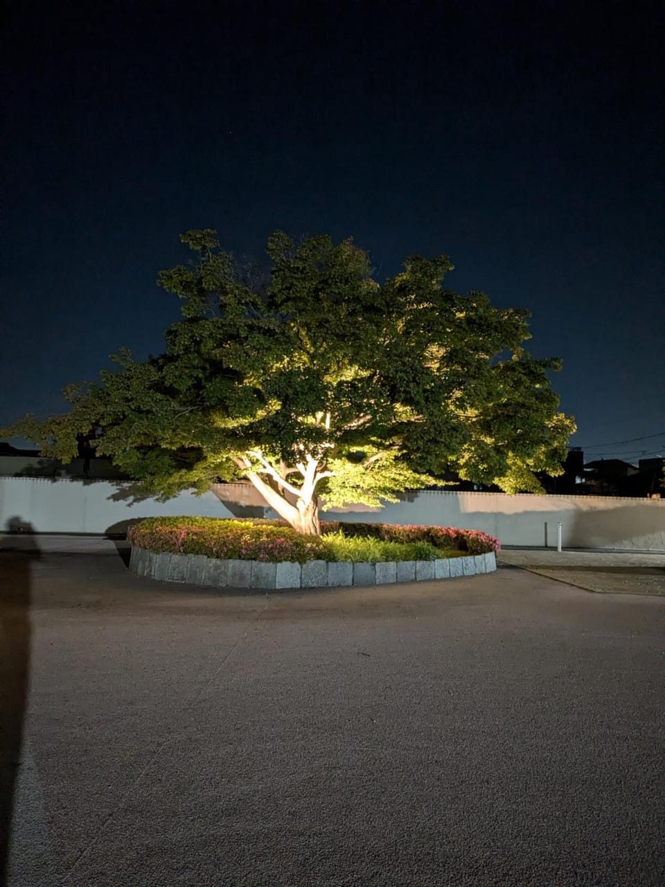 Property building, Night