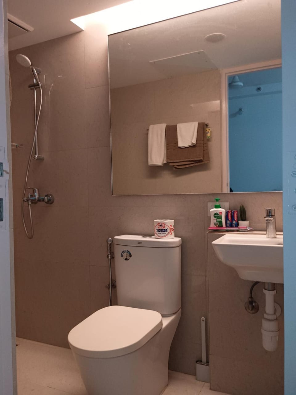 Shower, Toilet, Bathroom, towels