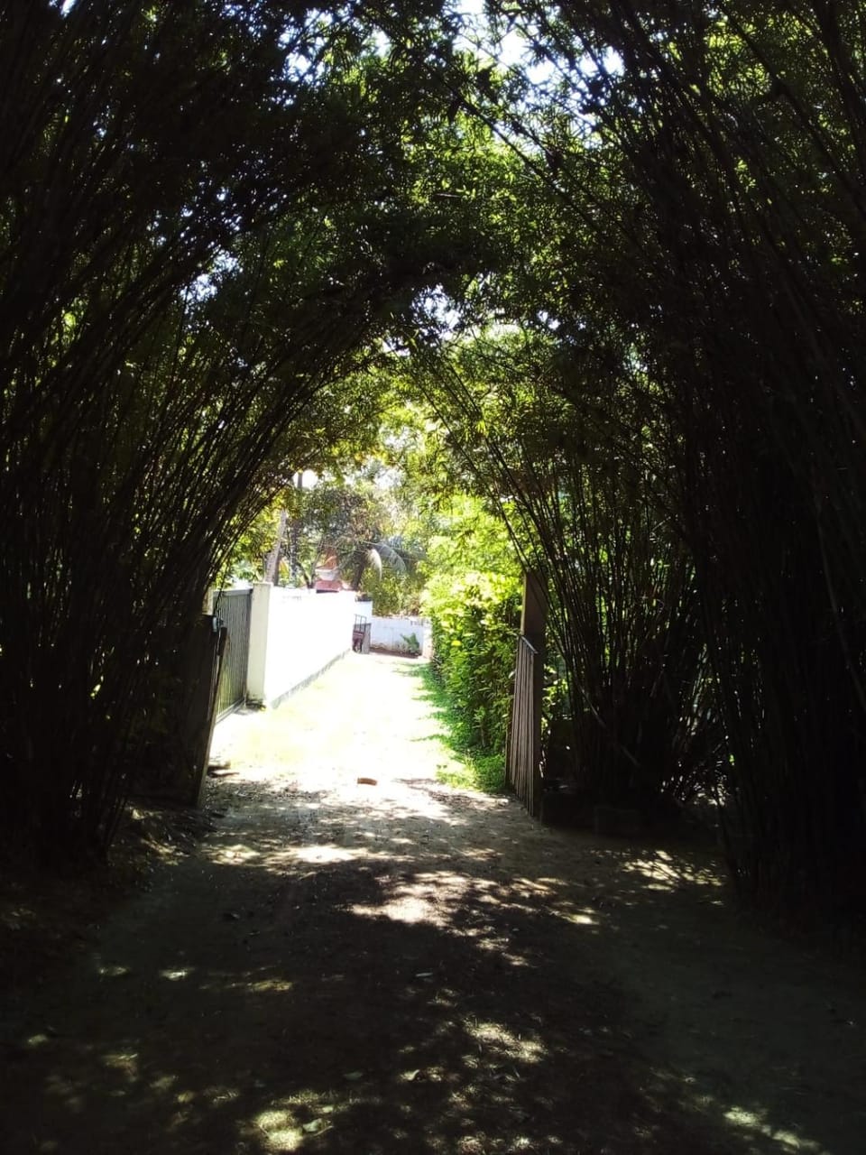 Garden, Garden view