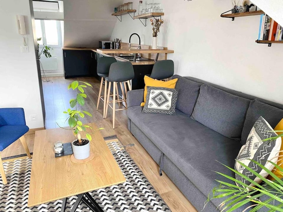 Bel appartement de charme, calme au centre ville MH Apartment in Nantes
