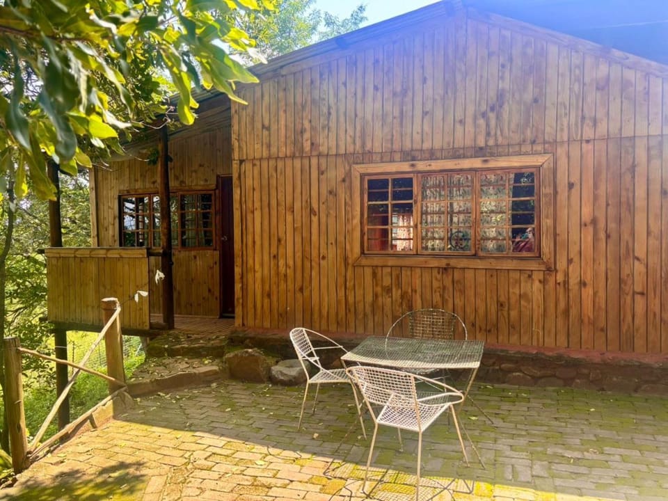 Backpackers at Kanaan Hostel in South Africa